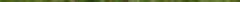 filipendula_vulgaris.jpg
