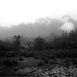 gallery-prints-light_stuff-130_ls_.jpg.jpg