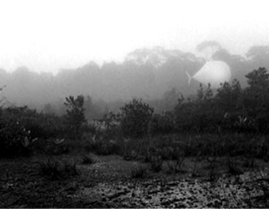 gallery-prints-light_stuff-130_ls_.jpg.jpg