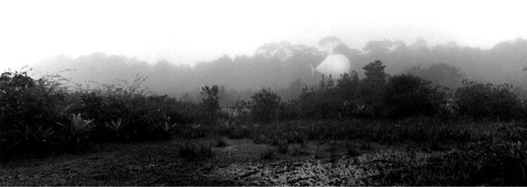 gallery-prints-light_stuff-130_ls_.jpg.jpg