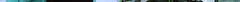 green_01.jpg