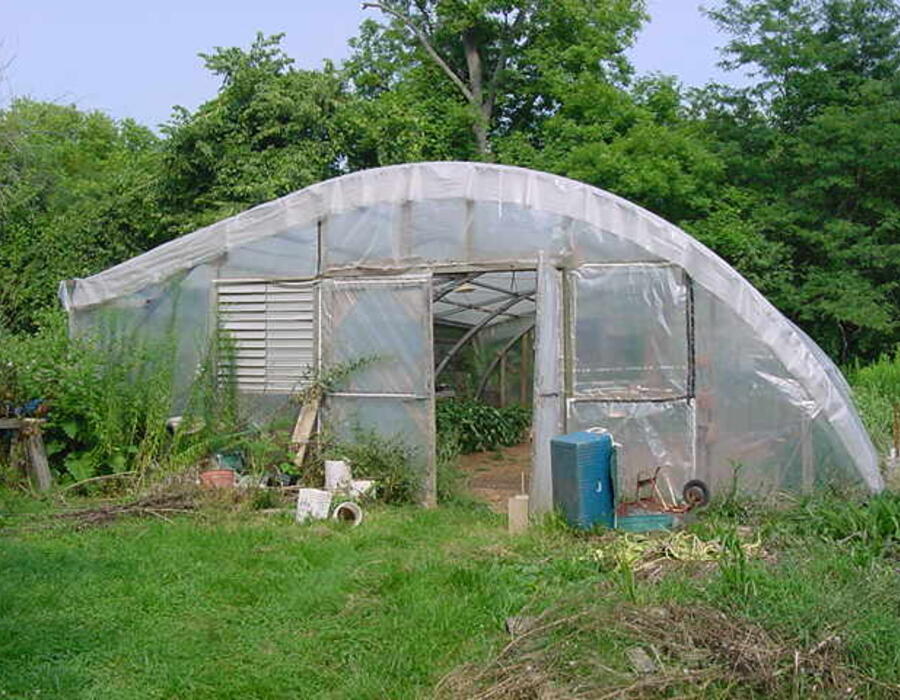 greenhouse-1.jpg