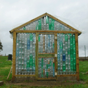 greenhouse.gif