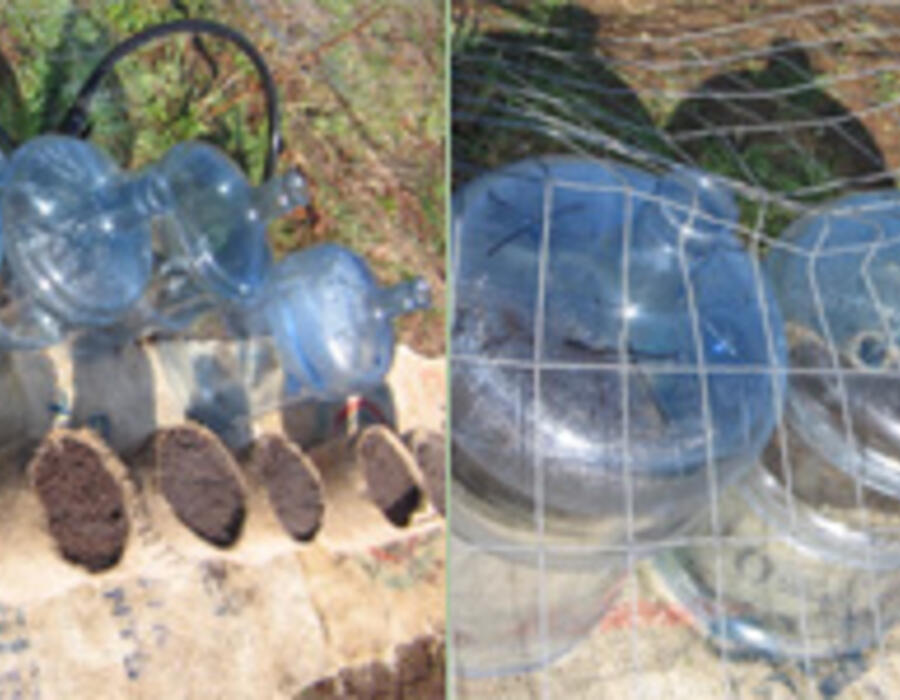 greenhouse.jpg