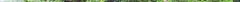 greenhouse03.jpg