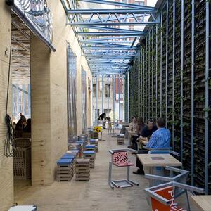 greenhouse12.jpg