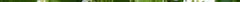 horseradish300x400.jpg