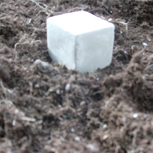 hpim2006.jpg