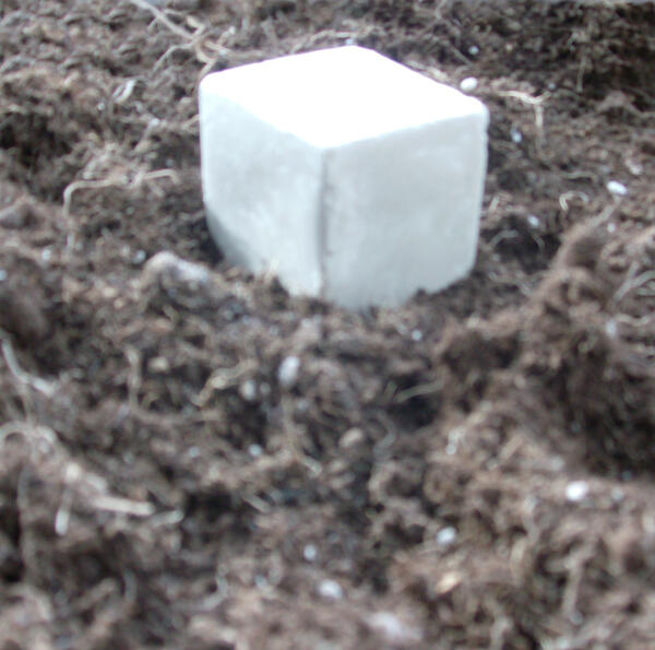 hpim2006.jpg