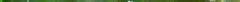 imagescleaned_washed_fiji_tree_frog_eggs_close-up.jpg