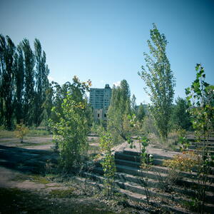 img_0784.jpg