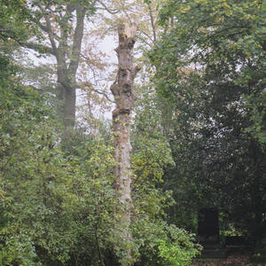 img_1129vert.jpg