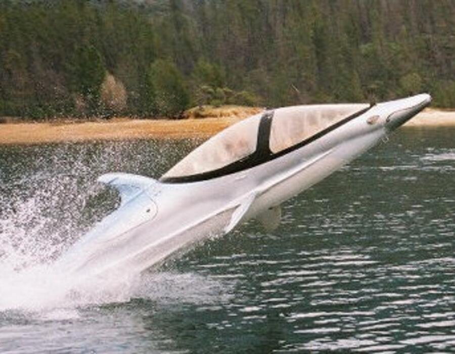 innaspace-dolphin-sub.jpg