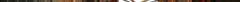 interstitial_garden.png