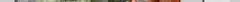 intro_img-2.jpg
