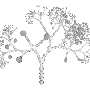 knobbly.png