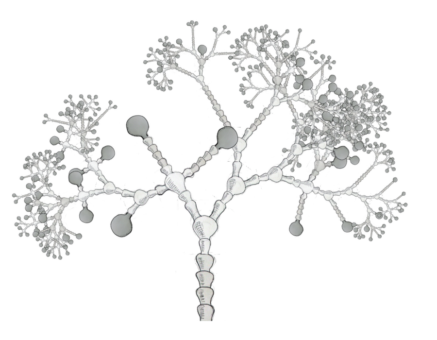 knobbly.png