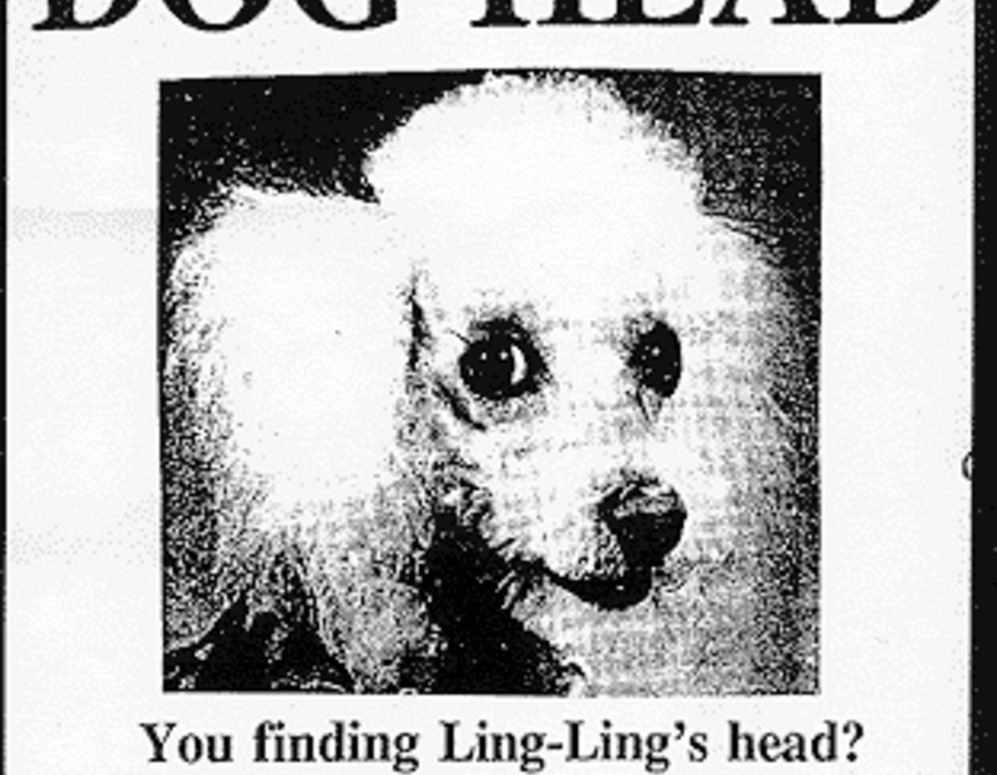 lingling.gif