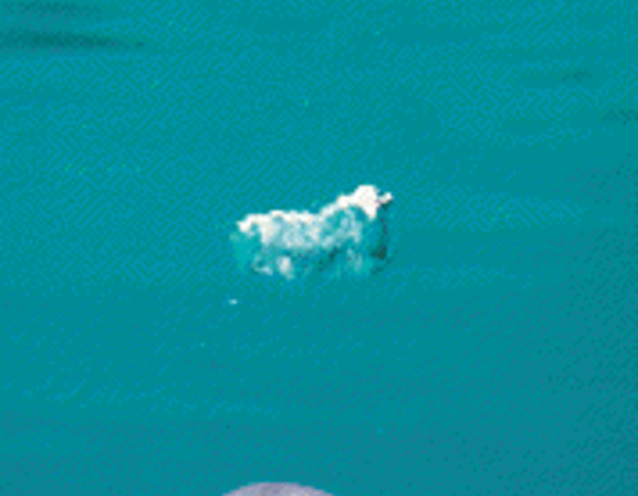lordrings3.gifwww.earthtrust.org_delringgallery.gif