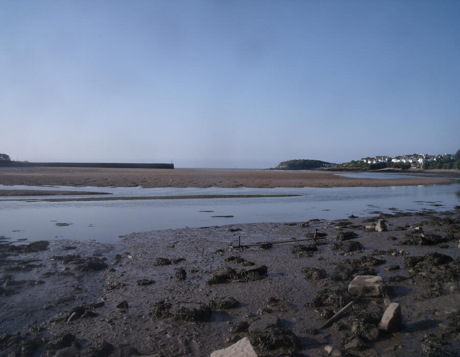 dscf8152.jpg