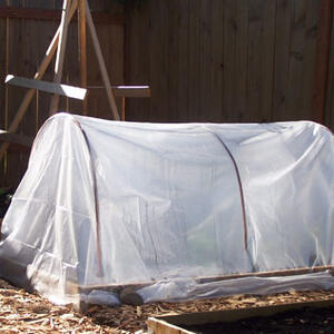 minigreenhouse.jpg
