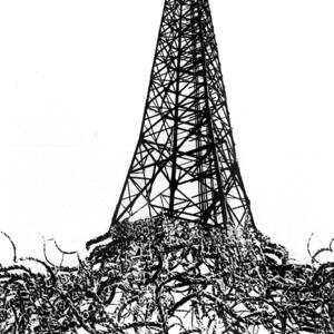 network2.jpg