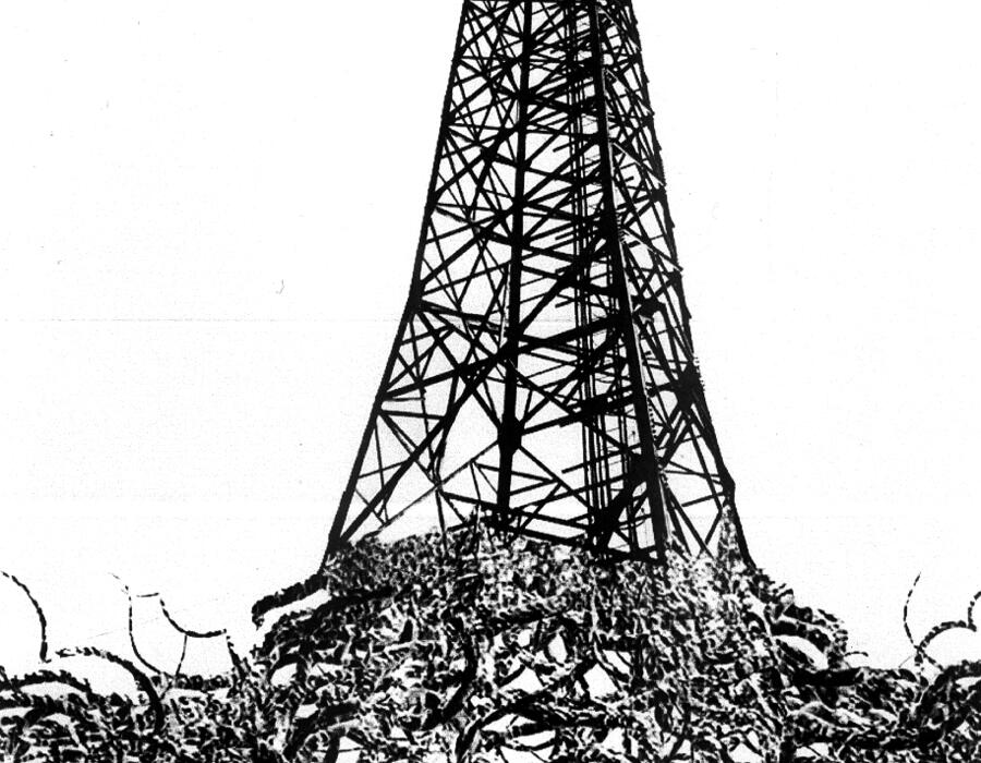 network2.jpg