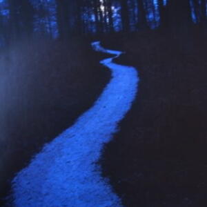 night_walk.jpg