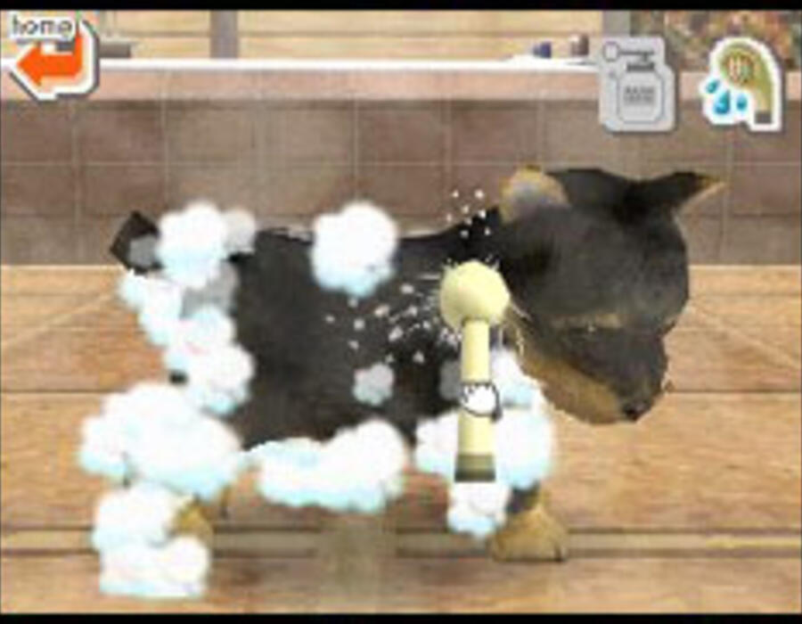 nintendogs.jpg