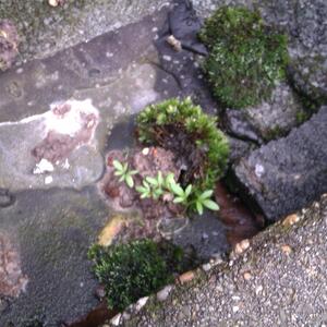 outside_test2.jpg