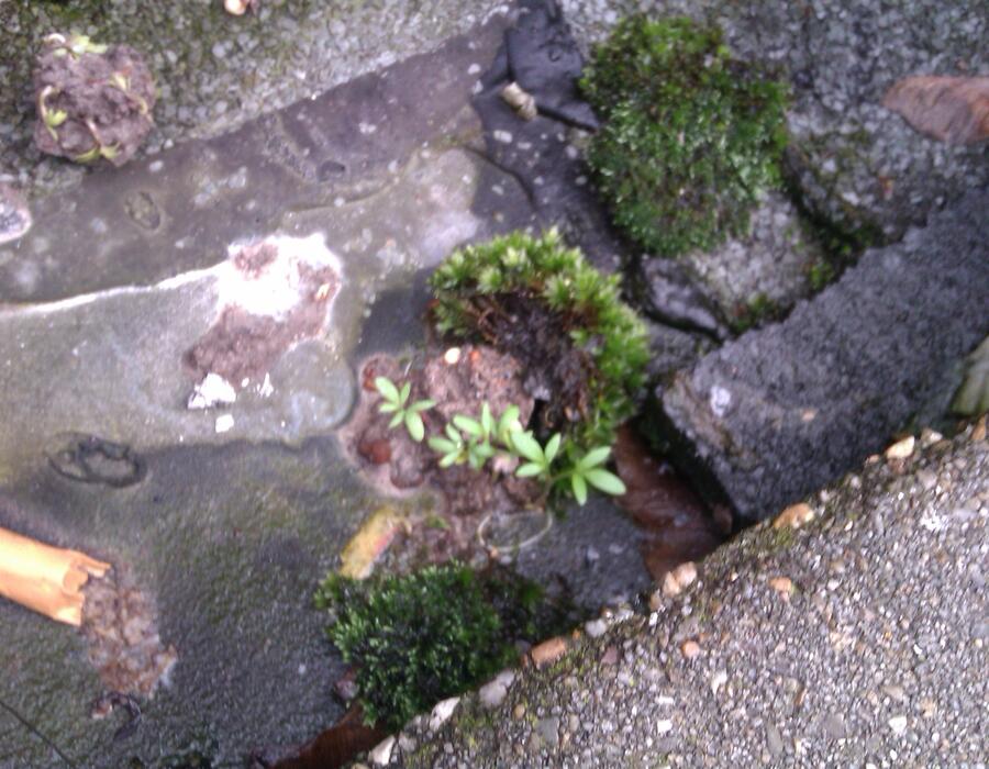 outside_test2.jpg