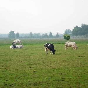 p1000707.jpg