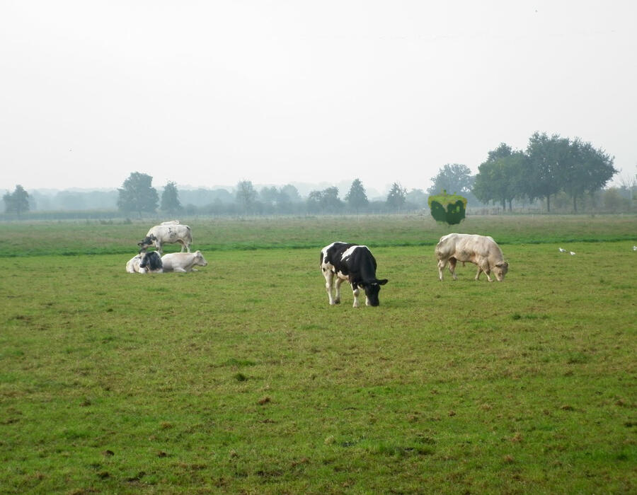 p1000707.jpg