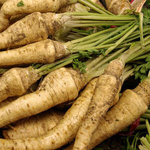 parsnip.jpg