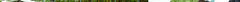 perma89.jpg