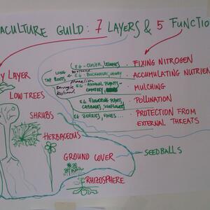 permaculture-functions.jpg