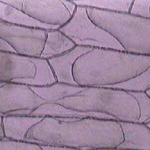 plasmolysis.jpg