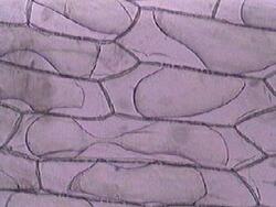 plasmolysis.jpg plasmolysis.jpg