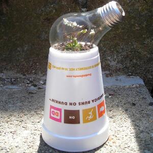 recycled-greenhouse.jpg