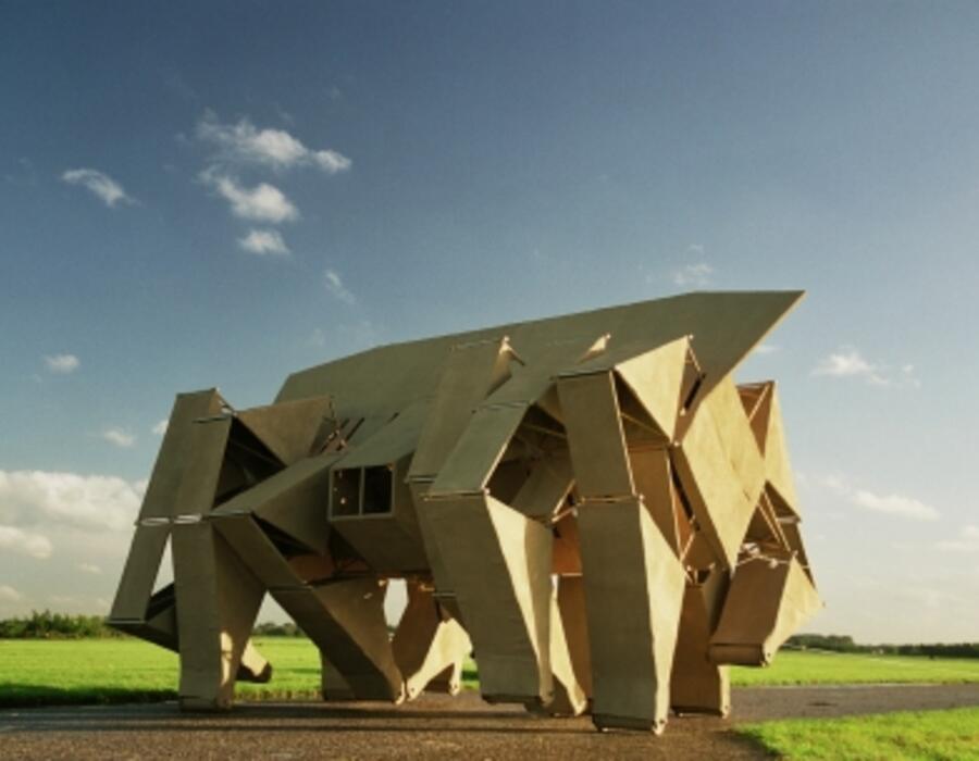 rhinoceros.jpg