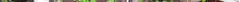 roofplantguild.jpg