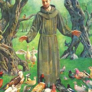 saintfrancois.jpg