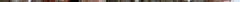 scaled_image_10.jpg