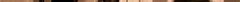 scaled_image_2.jpg