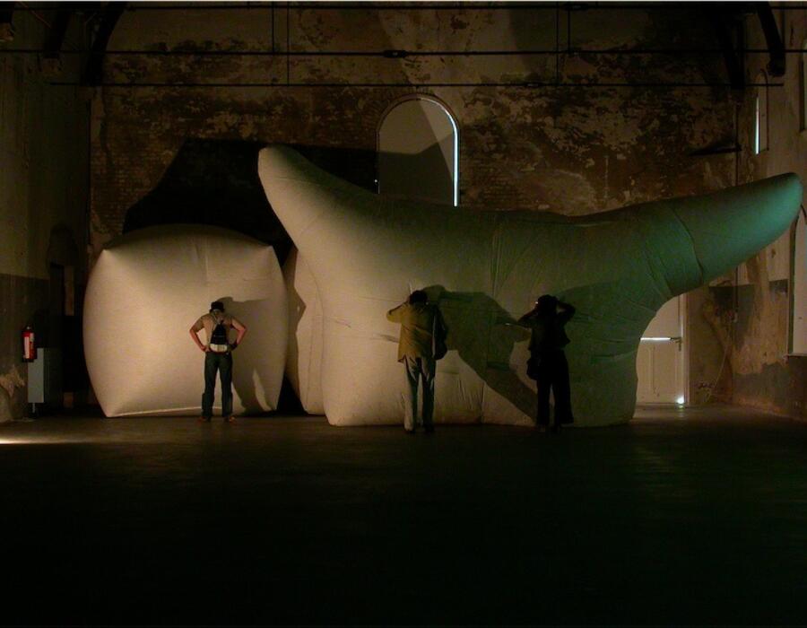 scaled_image_7.jpg