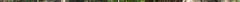 seed_3.jpg