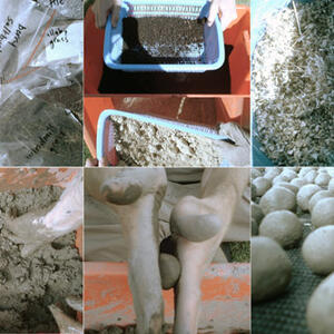 seedball-making.jpg