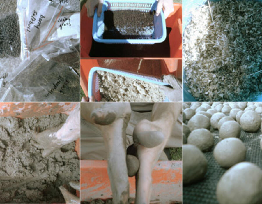 seedball-making.jpg