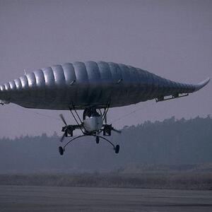 sting_flight.jpg