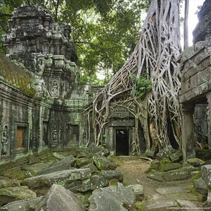 ta-prohm-ruins-062109-xl.jpg